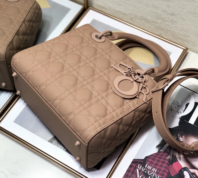 Dior Handbags AAA(Women)-309