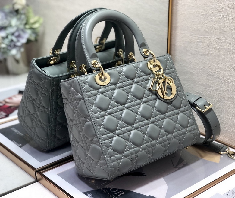 Dior Handbags AAA(Women)-310