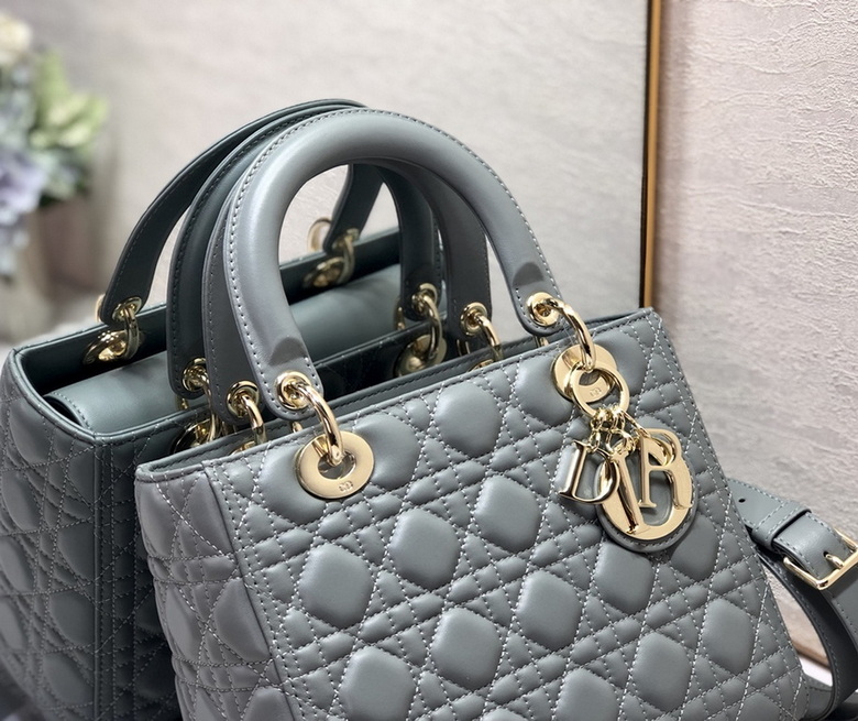 Dior Handbags AAA(Women)-310