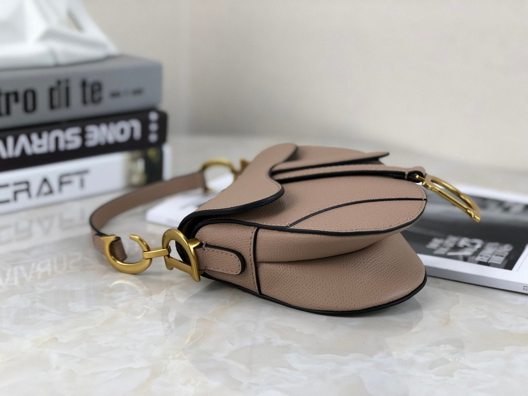 Dior Handbags AAA(Women)-350