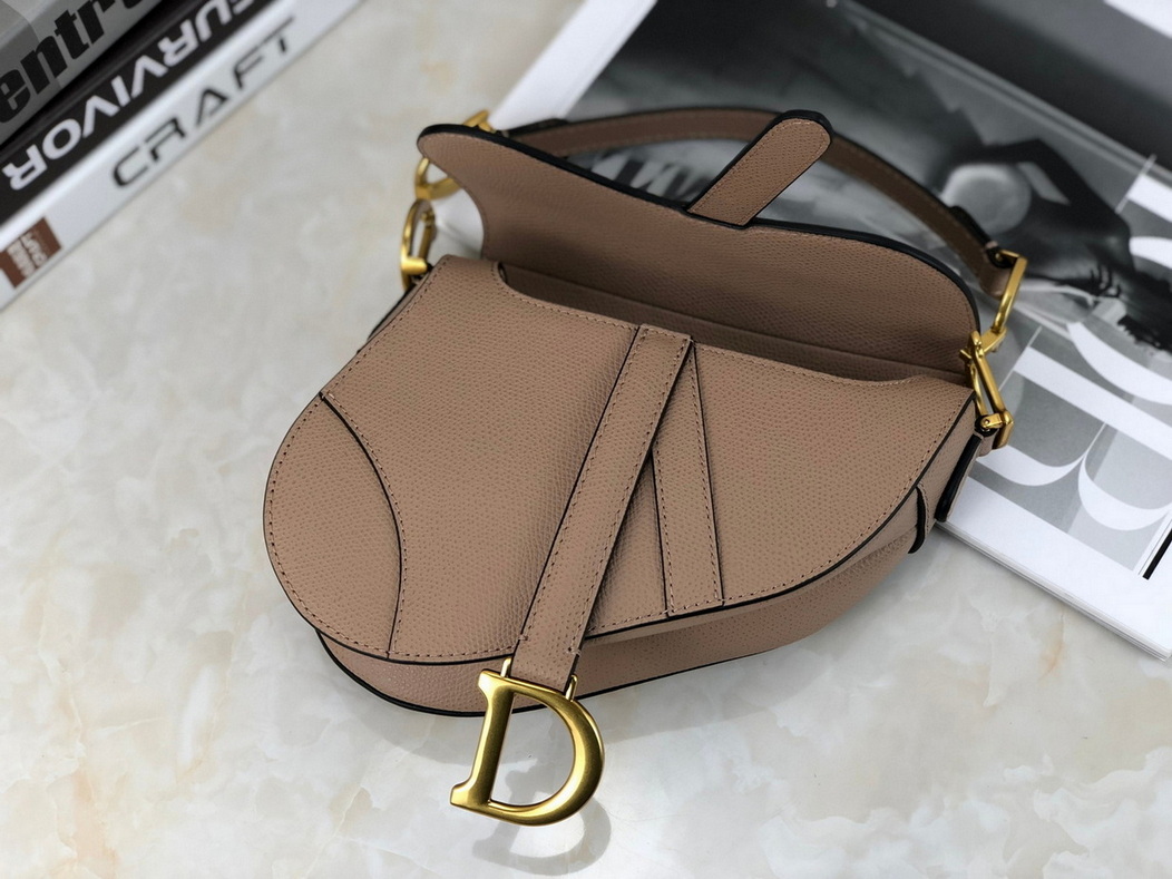 Dior Handbags AAA(Women)-350