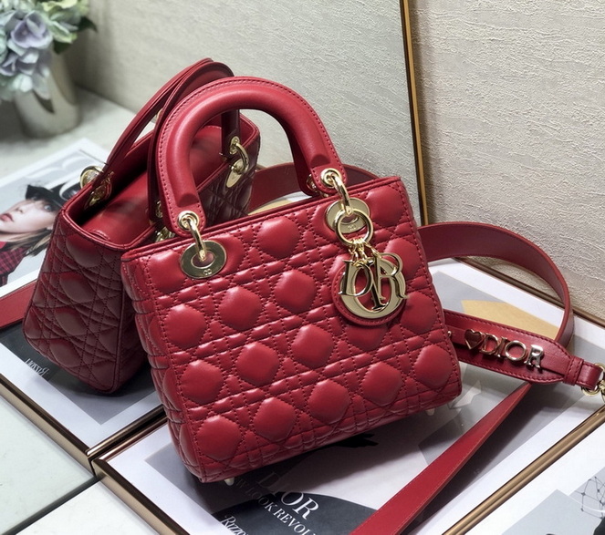 Dior Handbags AAA(Women)-352