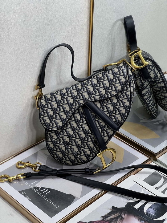 Dior Handbags AAA(Women)-360