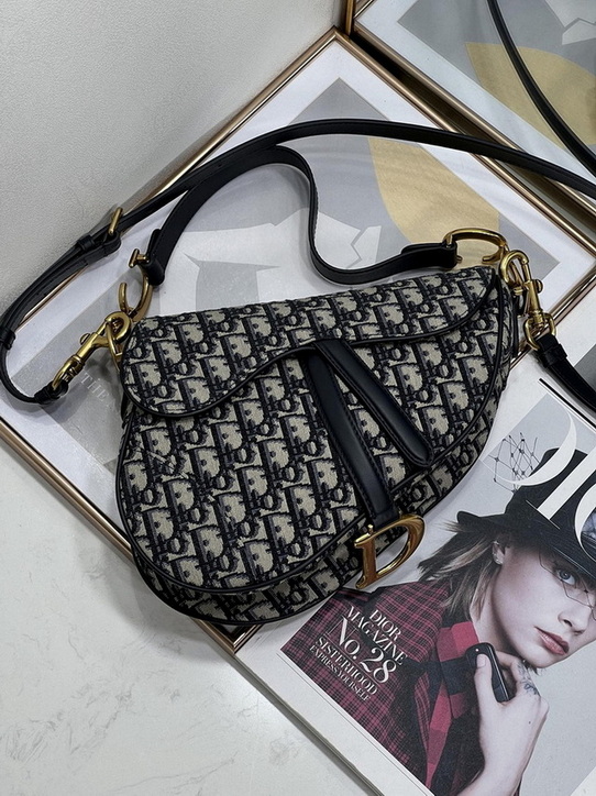 Dior Handbags AAA(Women)-360