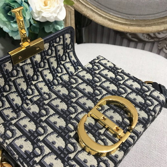 Dior Handbags AAA(Women)-373
