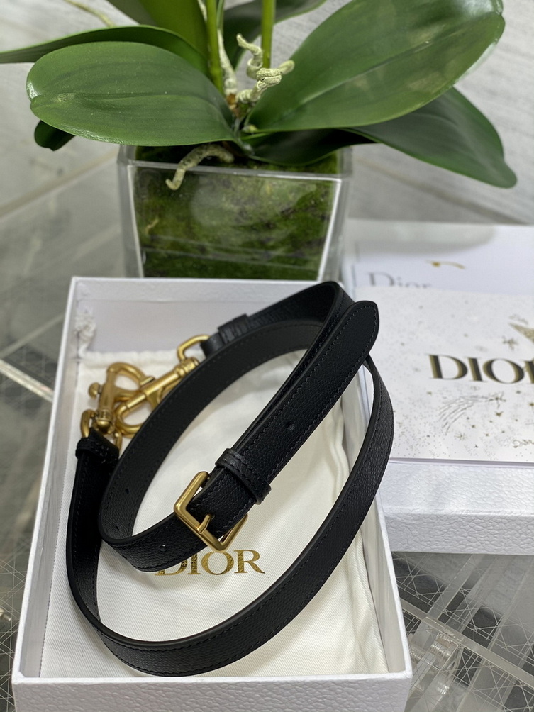 Dior Handbags AAA(Women)-412