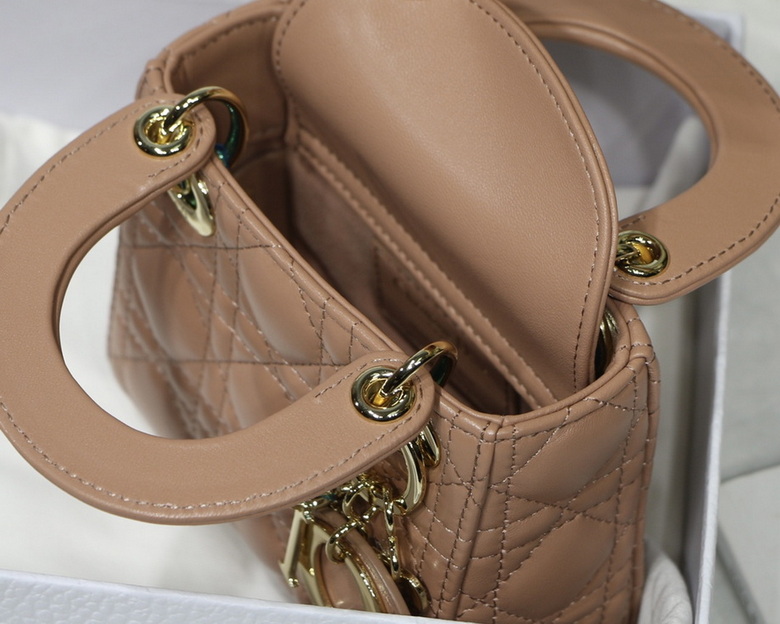 Dior Handbags AAA(Women)-420