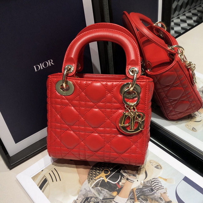 Dior Handbags AAA(Women)-443