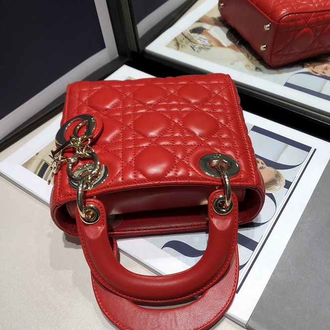 Dior Handbags AAA(Women)-443