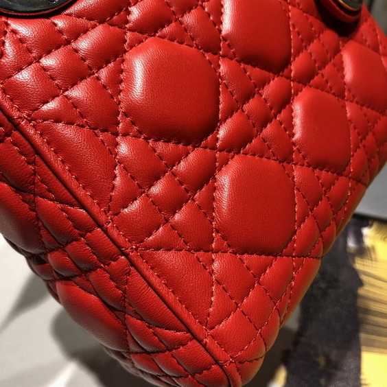 Dior Handbags AAA(Women)-443