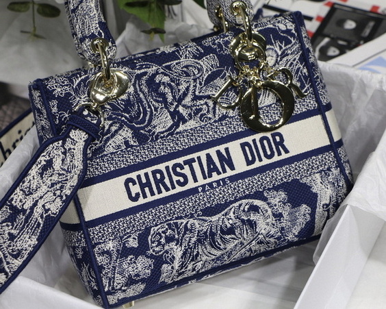 Dior Handbags AAA(Women)-446