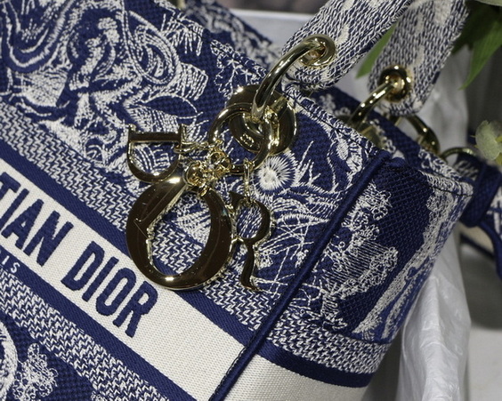 Dior Handbags AAA(Women)-446