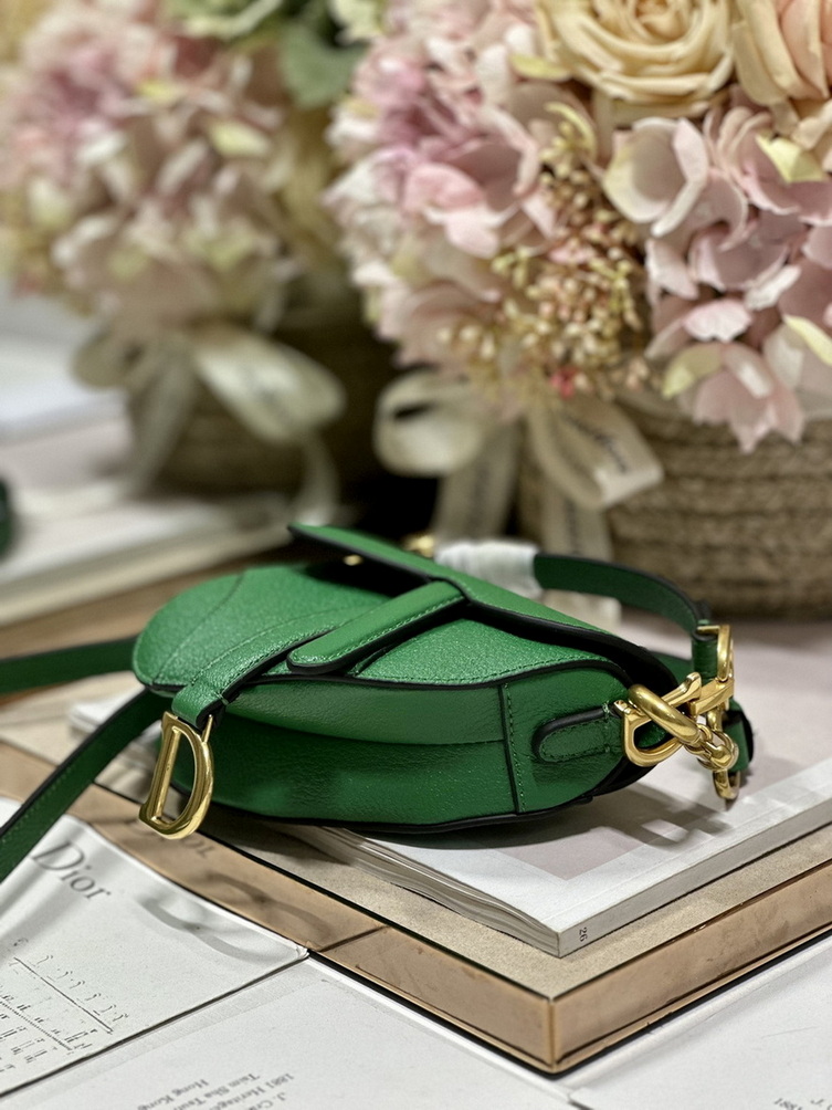 Dior Handbags AAA(Women)-451