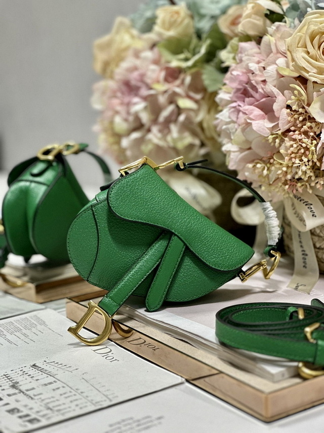 Dior Handbags AAA(Women)-451