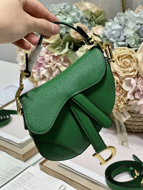 Dior Handbags AAA(Women)-451
