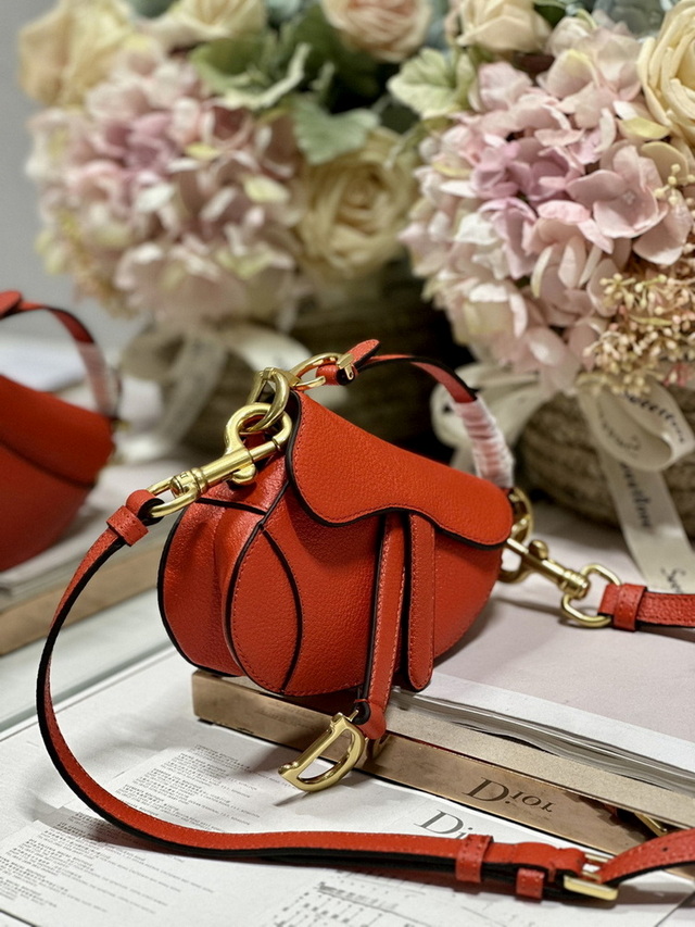 Dior Handbags AAA(Women)-452