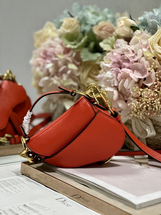 Dior Handbags AAA(Women)-452