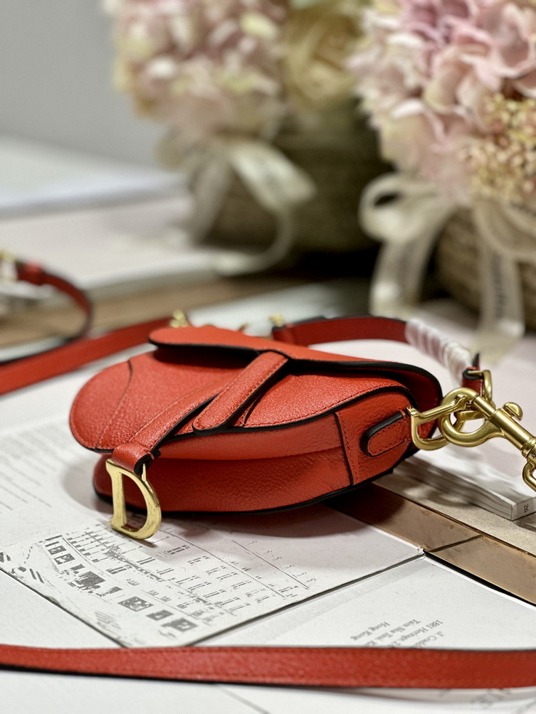 Dior Handbags AAA(Women)-452
