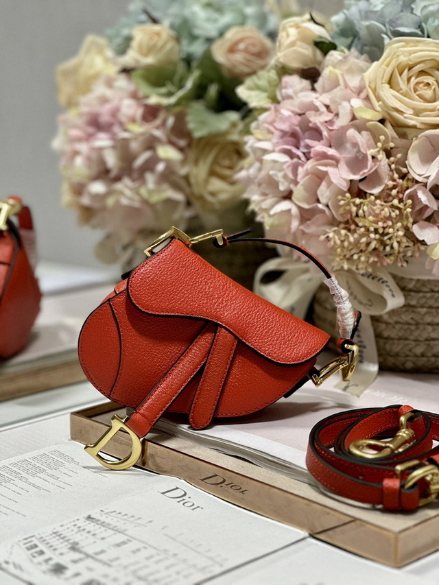 Dior Handbags AAA(Women)-452