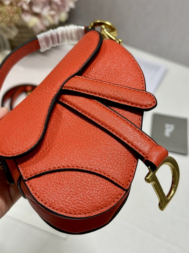 Dior Handbags AAA(Women)-452