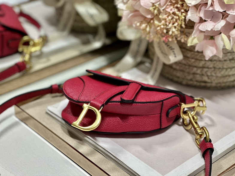 Dior Handbags AAA(Women)-453
