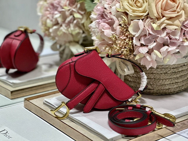Dior Handbags AAA(Women)-453