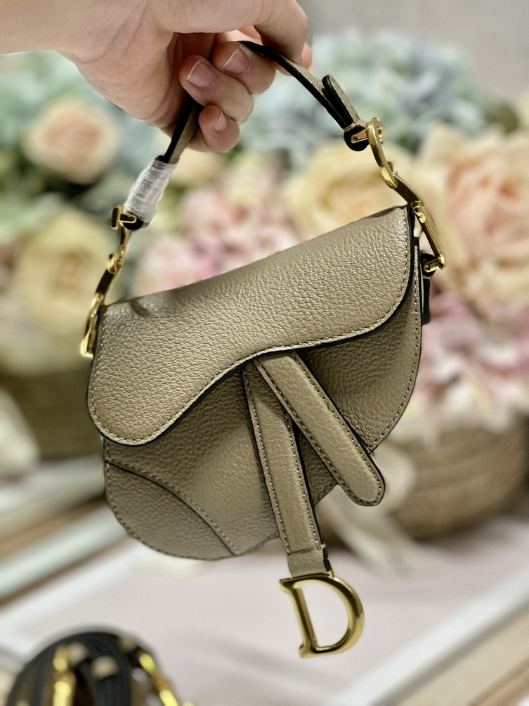 Dior Handbags AAA(Women)-457