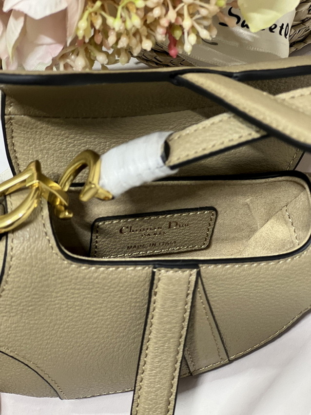 Dior Handbags AAA(Women)-457