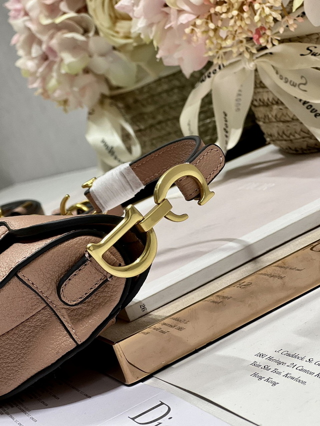 Dior Handbags AAA(Women)-461