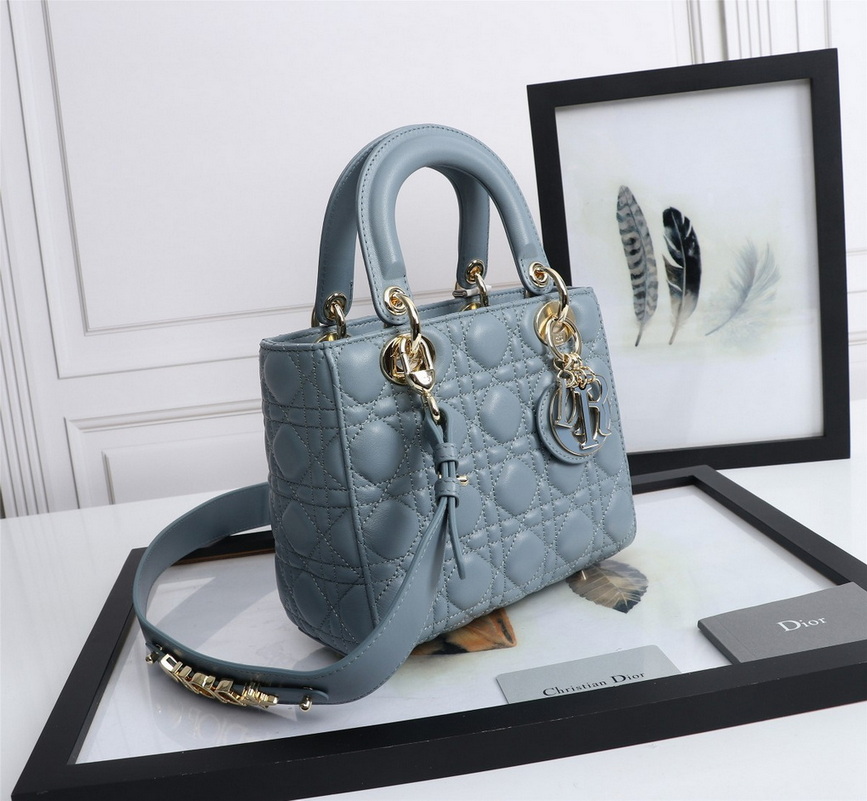 Dior Handbags AAA(Women)-469