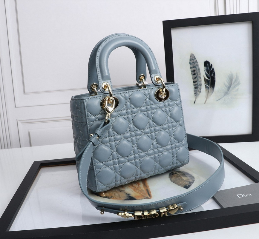 Dior Handbags AAA(Women)-469