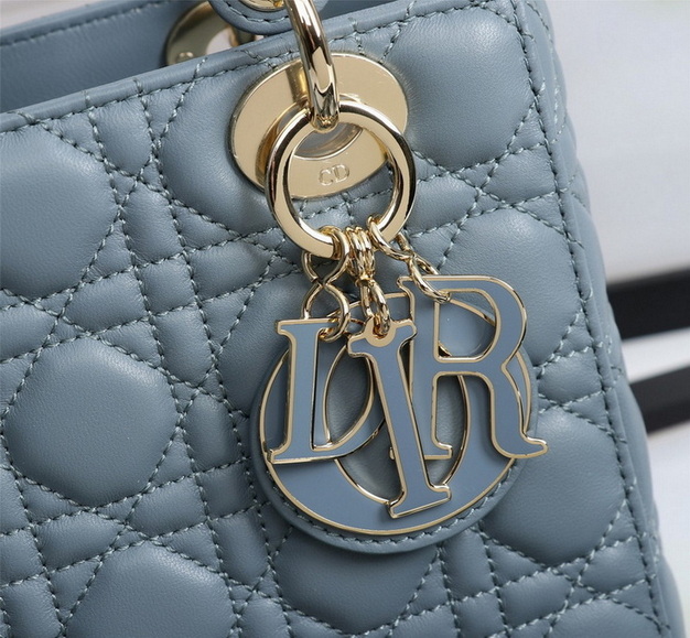 Dior Handbags AAA(Women)-469