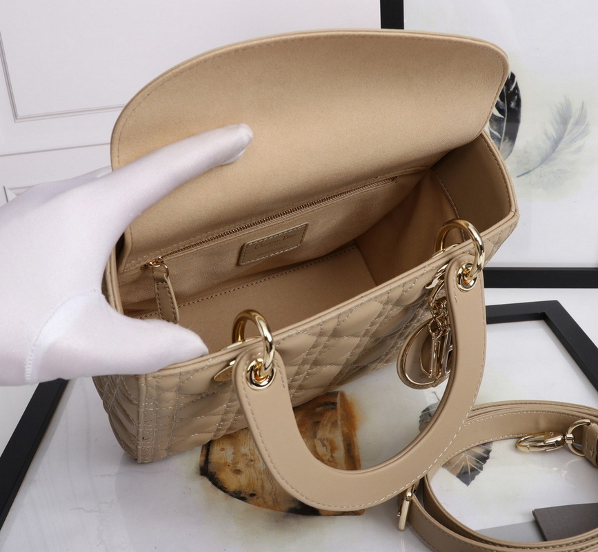 Dior Handbags AAA(Women)-470