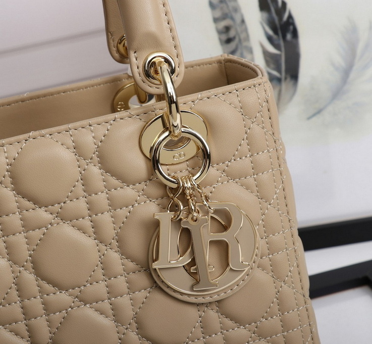 Dior Handbags AAA(Women)-470