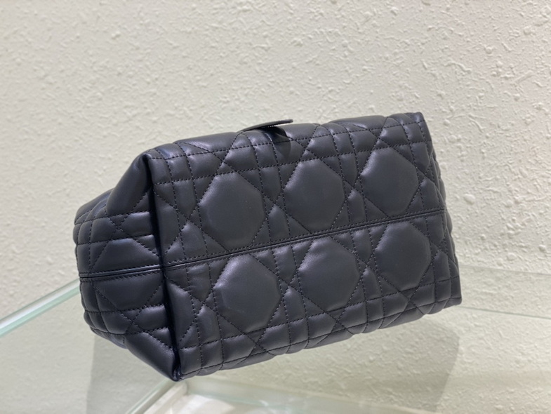 Dior Handbags AAA(Women)-162