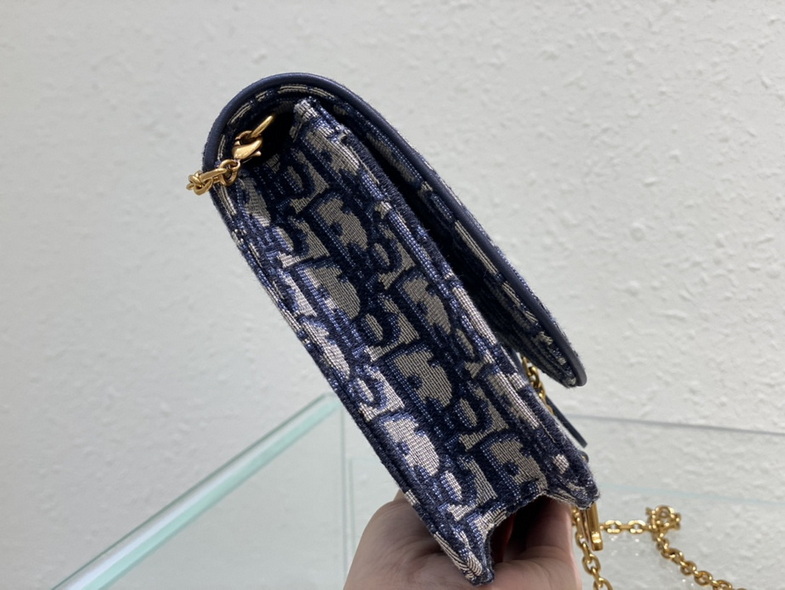 Dior Handbags AAA(Women)-166