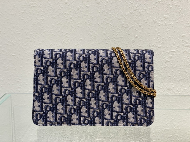 Dior Handbags AAA(Women)-166