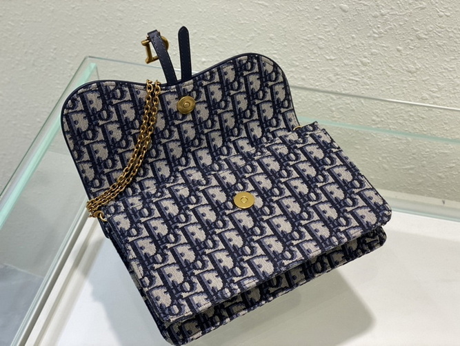 Dior Handbags AAA(Women)-166