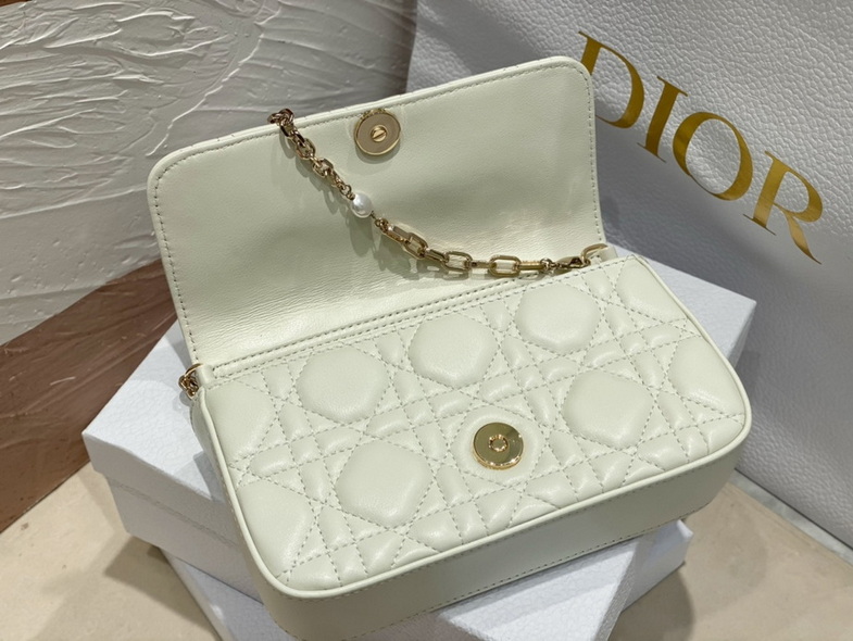 Dior Handbags AAA(Women)-168