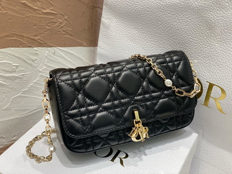 Dior Handbags AAA(Women)-169