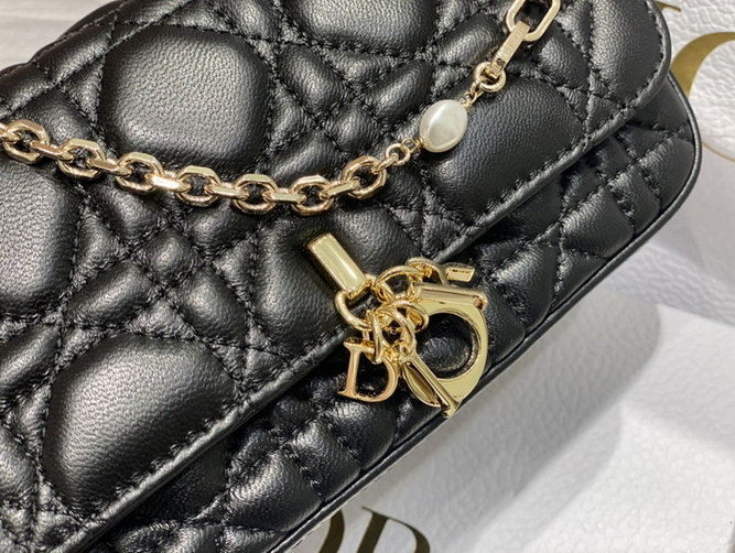 Dior Handbags AAA(Women)-169