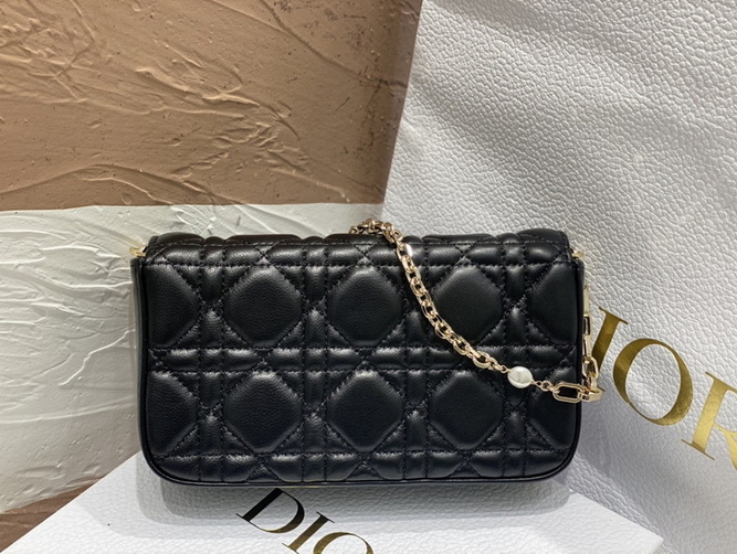 Dior Handbags AAA(Women)-169