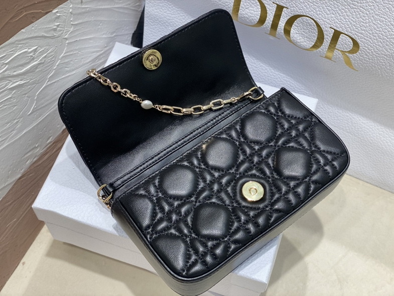 Dior Handbags AAA(Women)-169