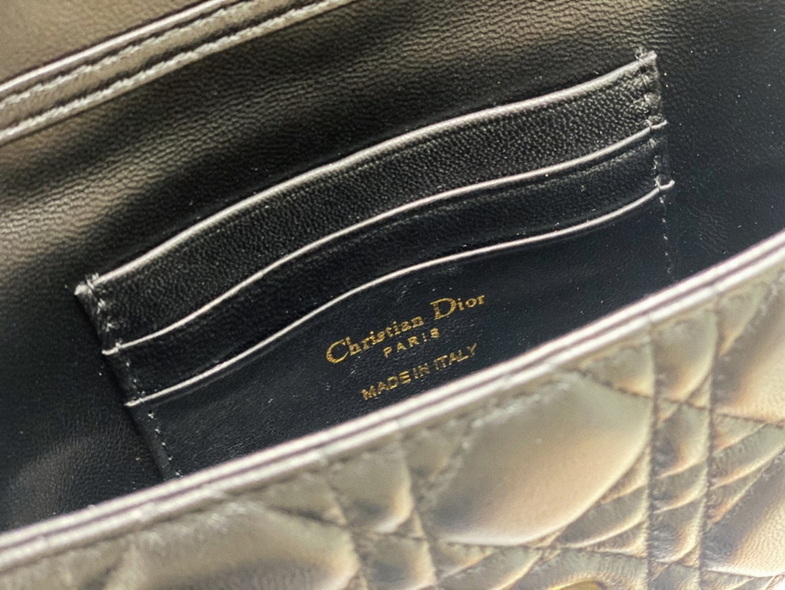 Dior Handbags AAA(Women)-169