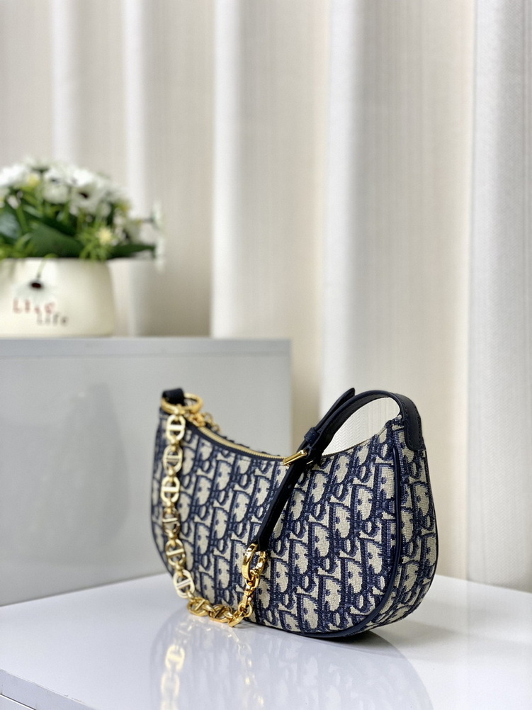 Dior Handbags AAA(Women)-170