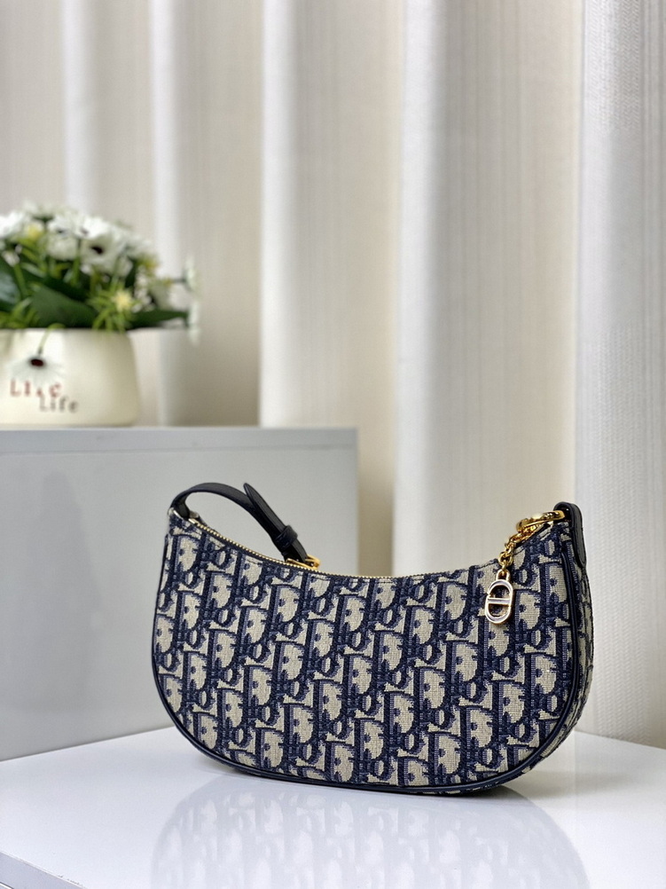 Dior Handbags AAA(Women)-170