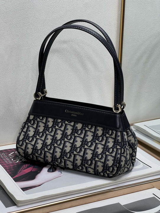 Dior Handbags AAA(Women)-172