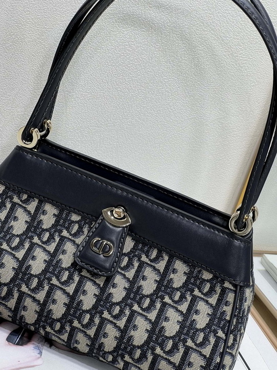Dior Handbags AAA(Women)-172