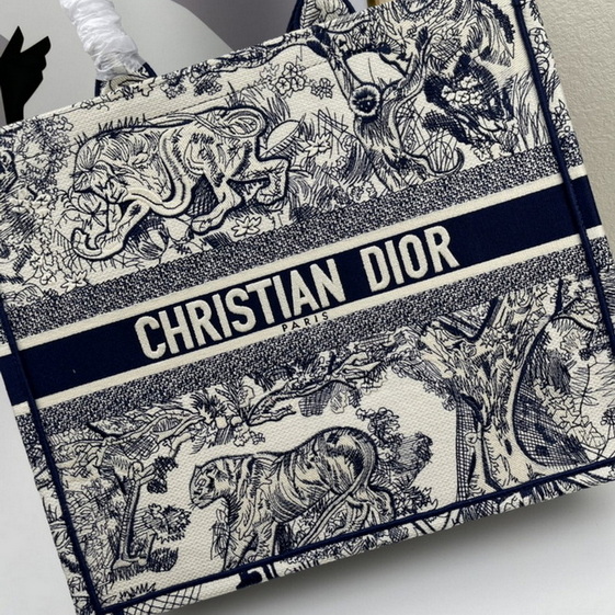 Dior Handbags AAA(Women)-173