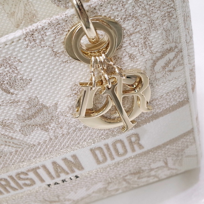 Dior Handbags AAA(Women)-178